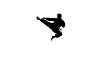 Dynamic martial arts kick silhouette, a Graphic by Amazin_art (Thumbnail 10 of 36)