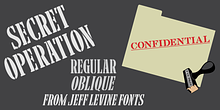 Secret Operation JNL