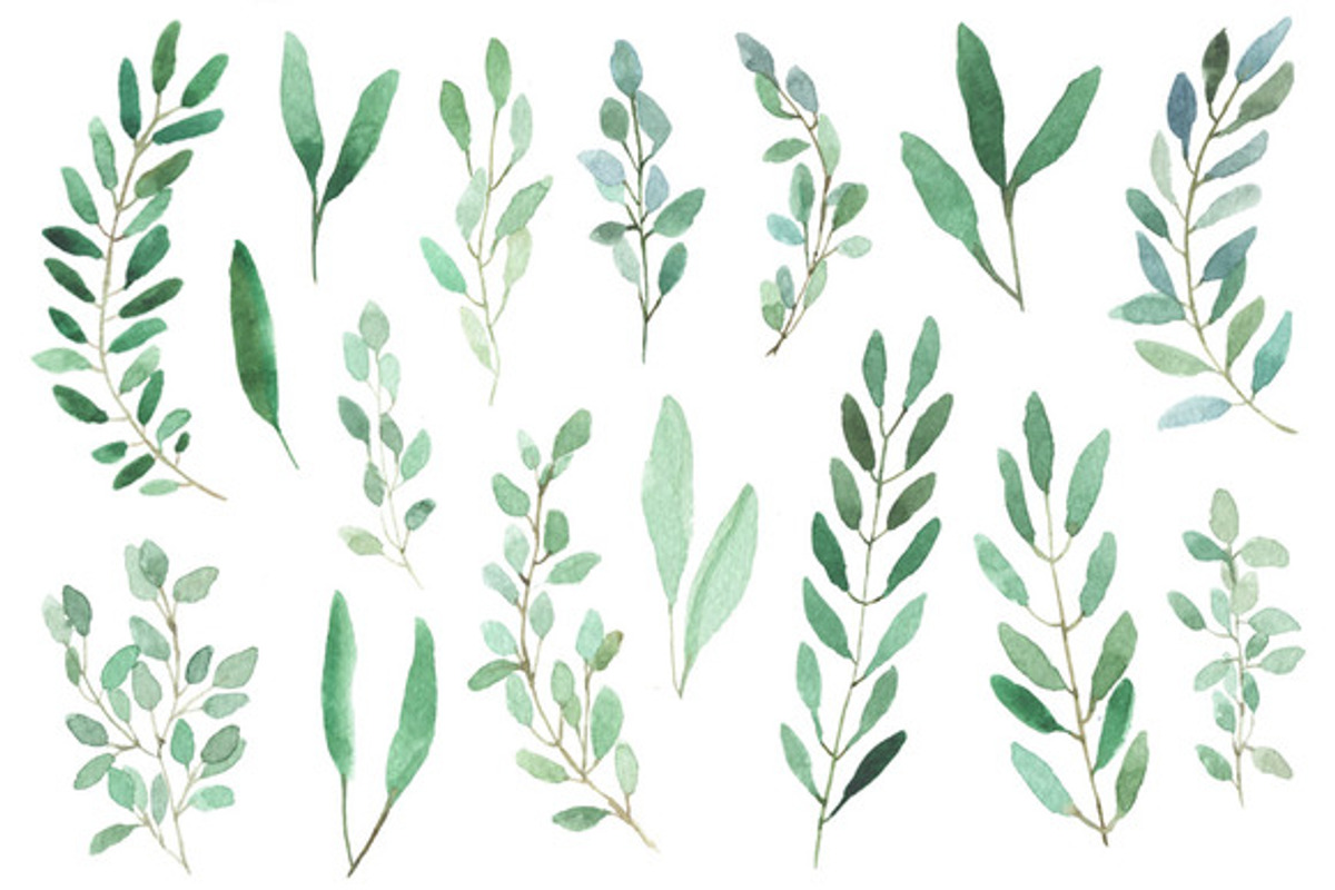 All About Leaves, an Illustration by MariePierLaf (Photo 2 of 4)