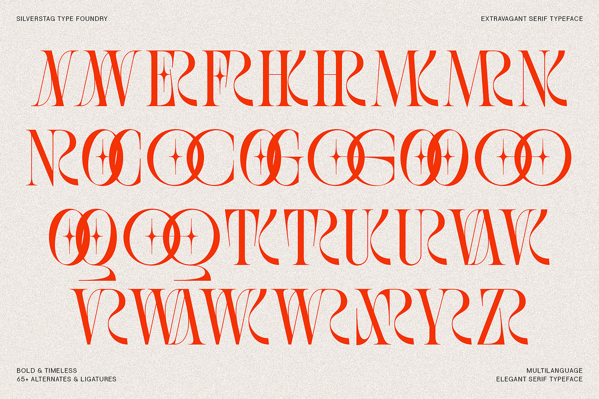 SLTF BOXROOM - Modern Serif Typeface, a Serif Font by SilverStag Type Foundry (Photo 29 of 30)