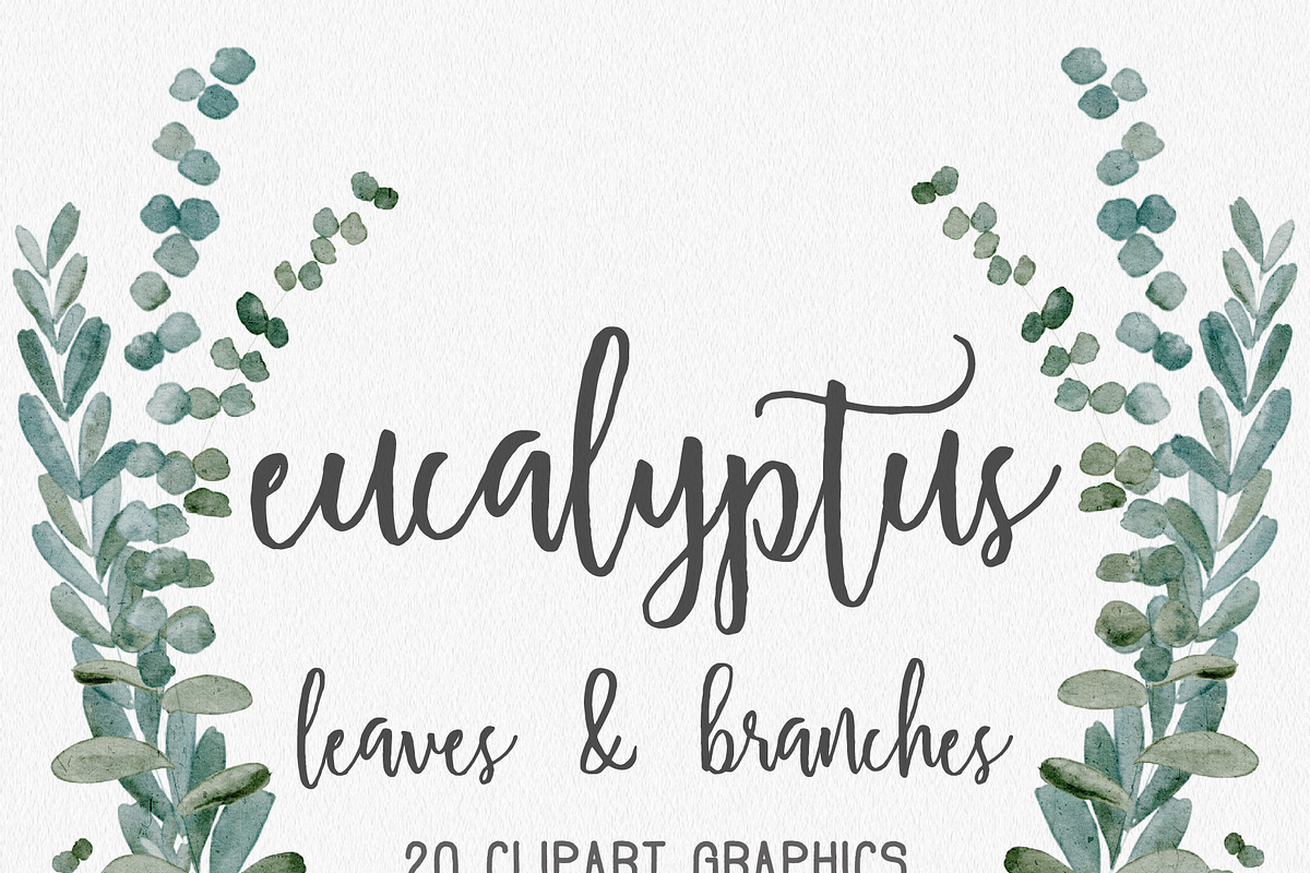 Eucalyptus Greenery Clipart Graphics, an Illustration by Wooly Pronto (Photo 2 of 3)