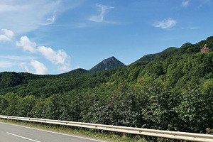 Mountain road with lush forest, a Nature Photo by Elena Vagengeim