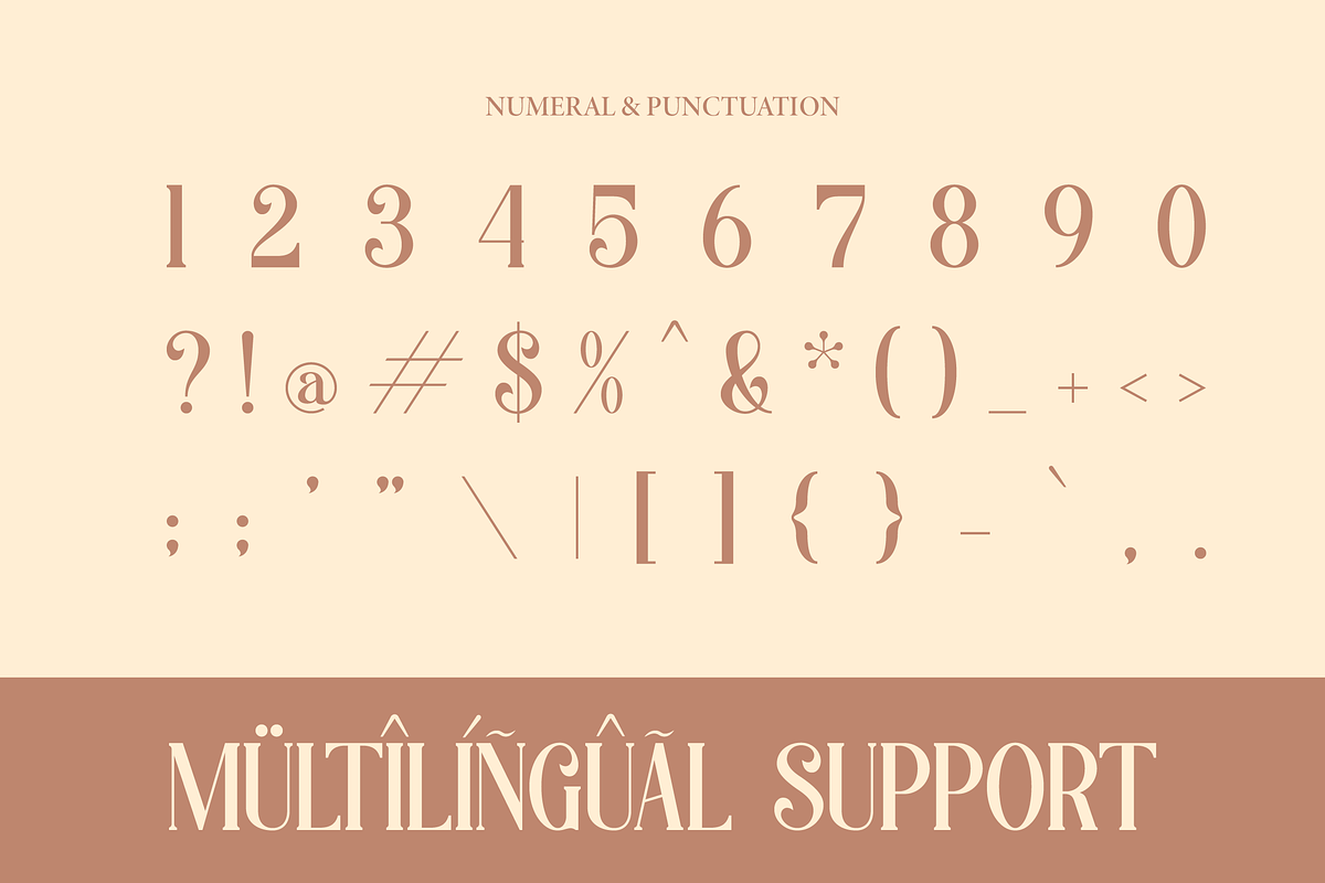 Aslin Alodian | Modern Display Serif, a Serif Font by Denustudios (Photo 14 of 15)