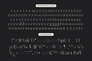 Qiona Elegant Modern Serif Font, a Serif Font by timelesstype.co (Thumbnail 17 of 20)