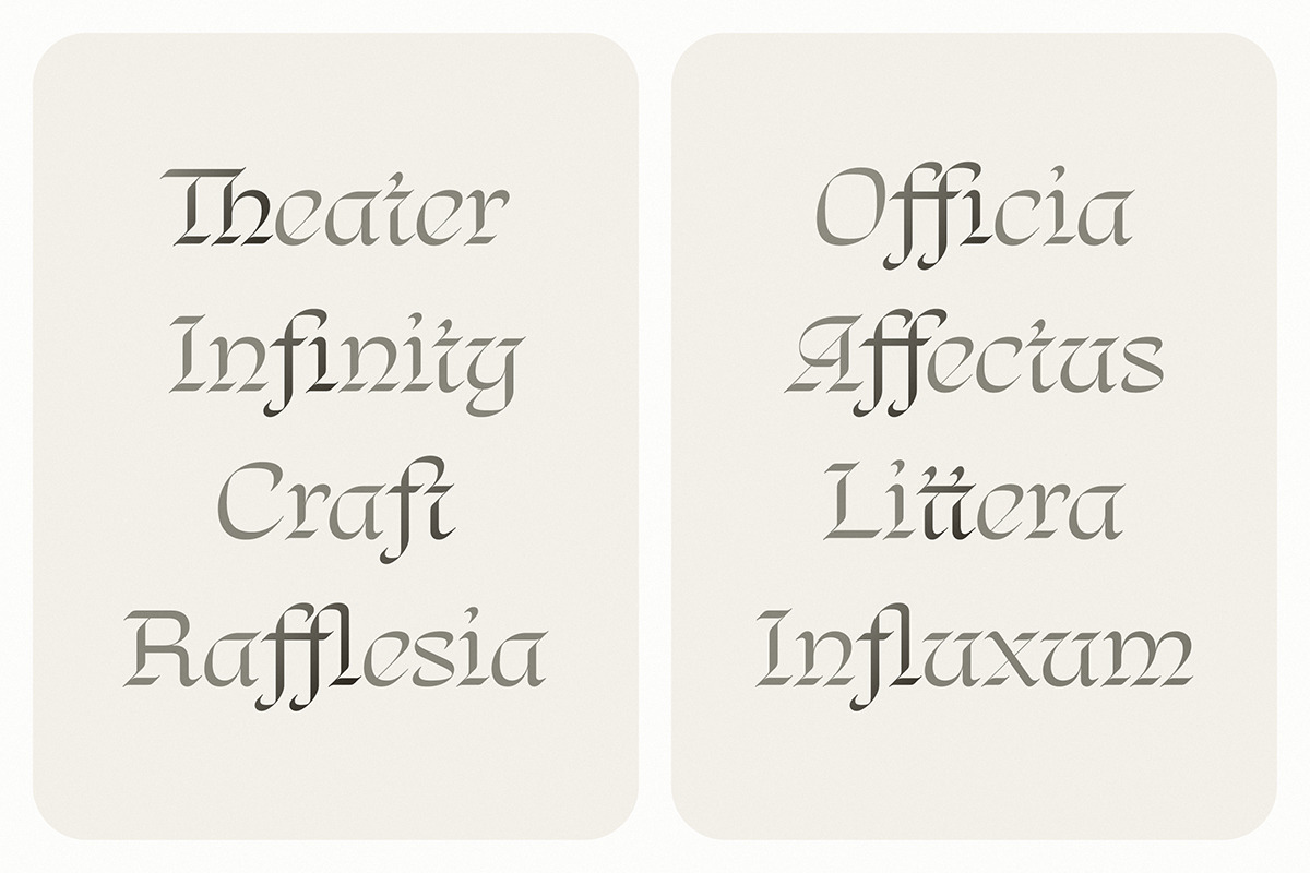 Regnio, a Blackletter Font by DKType Foundry (Photo 13 of 19)