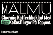 Lumbrance Sans, a Font by Sudtipos (Thumbnail 6 of 7)