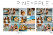 5 Mobile Lightroom, a Preset Add-On by The Red Pine (Thumbnail 2 of 5)