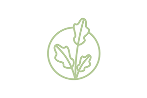 aesthetic leaf circle line logo, a Branding & Logo Template by devastd