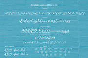 AMIDES - Handwritten, a Script Font by Olexstudio (Thumbnail 7 of 7)