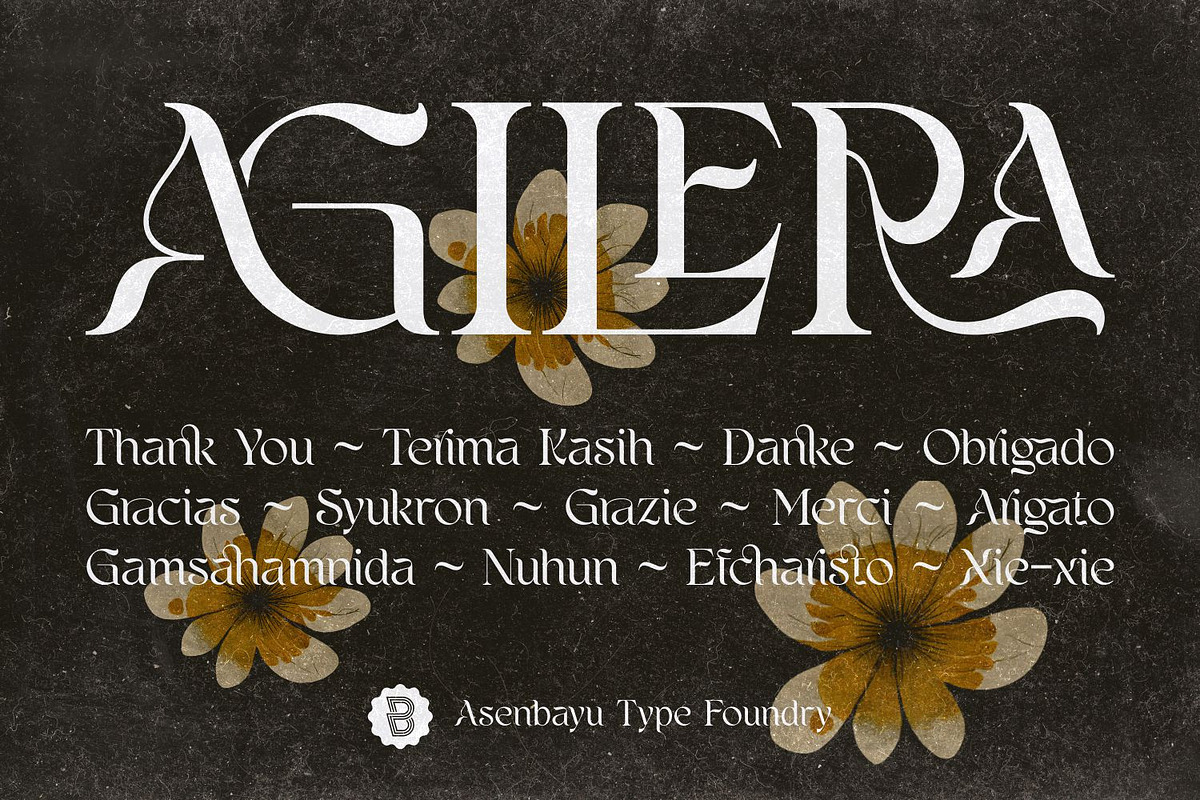 Agilera - Stylish Ligature Font, a Serif Font by Asenbayu (Photo 15 of 15)