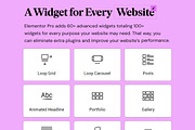 Elementor Pro Official License, a WordPress Template by Ninja On Deck (Thumbnail 2 of 3)