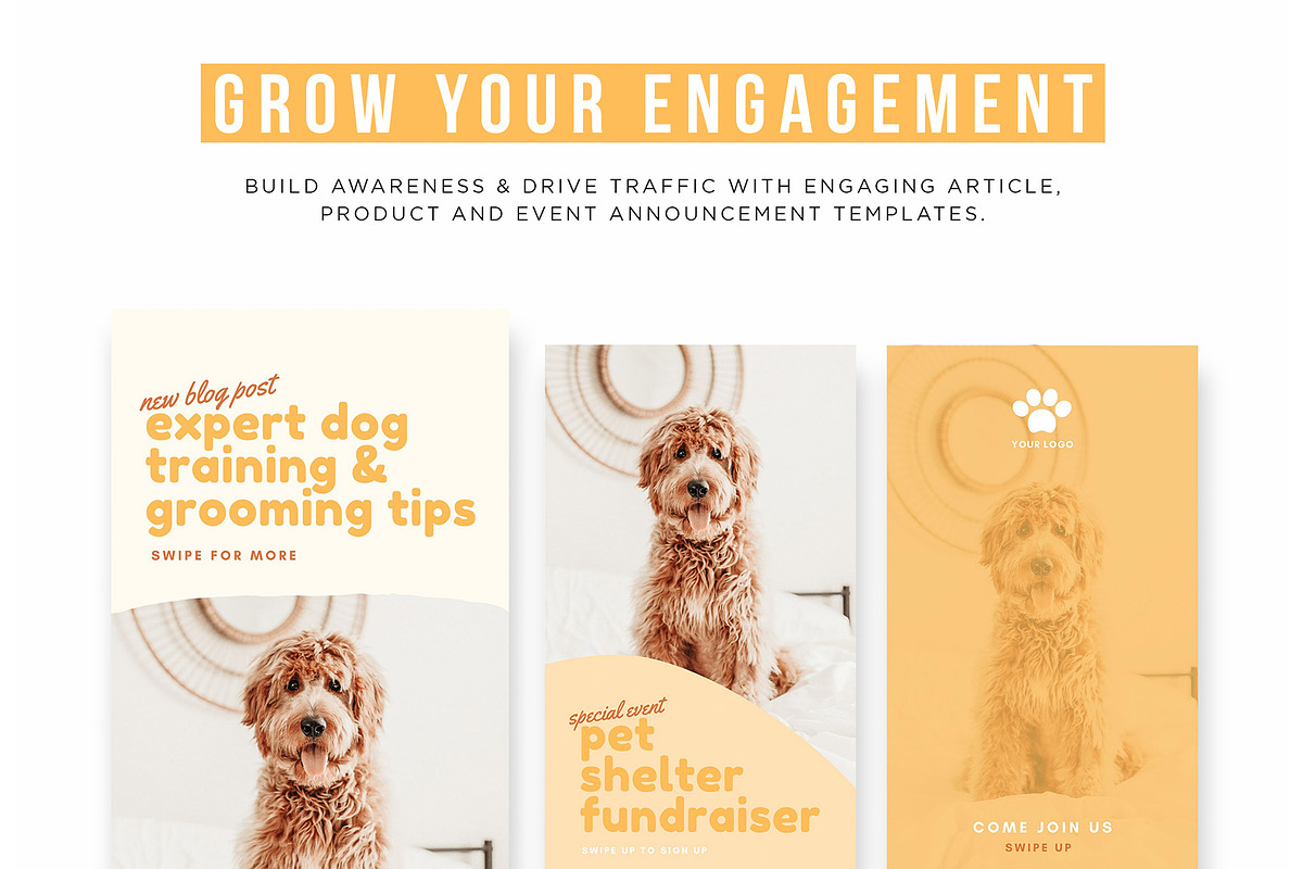 Pets Instagram Story Posts, a Social Media Template by Cultive Creative (Photo 6 of 10)