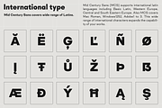 Mid Century Sans, a Sans Serif Font by Dharma Type (Thumbnail 5 of 12)