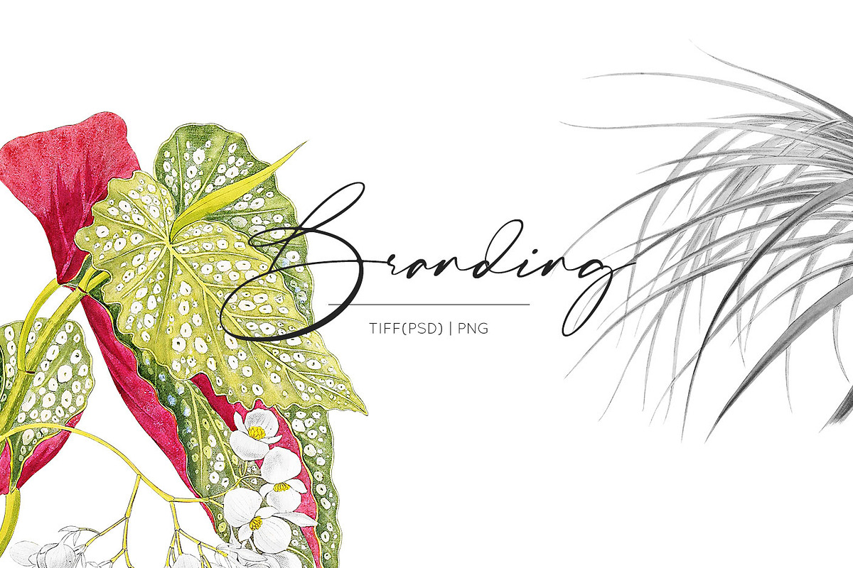 Blómstra, Luxury Spring 2021 Prints!, a Pattern Graphic by Pink Linen (Photo 14 of 14)