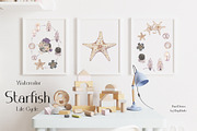 Watercolor Starfish Life Cycle Set, an Education Illustration by MayaNavits (Thumbnail 4 of 8)