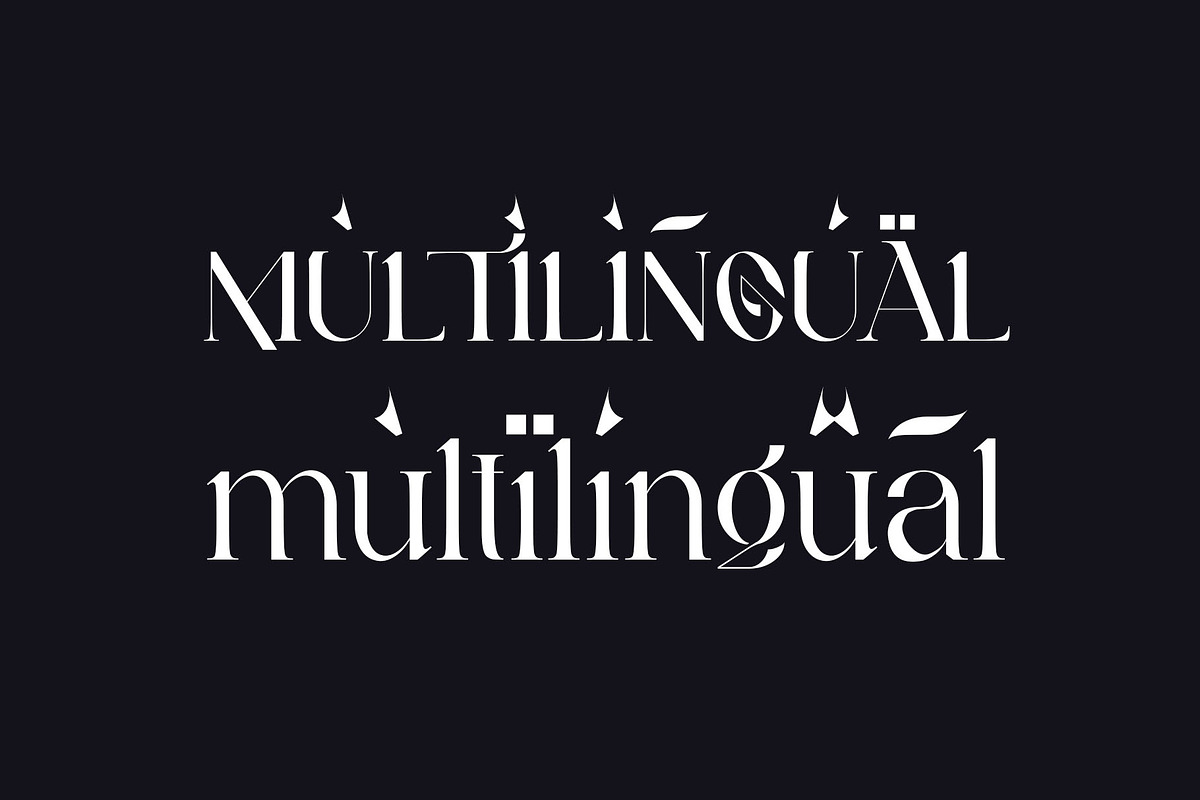 Kariin Ligature Serif Typeface, a Serif Font by Humaira_std (Photo 9 of 11)