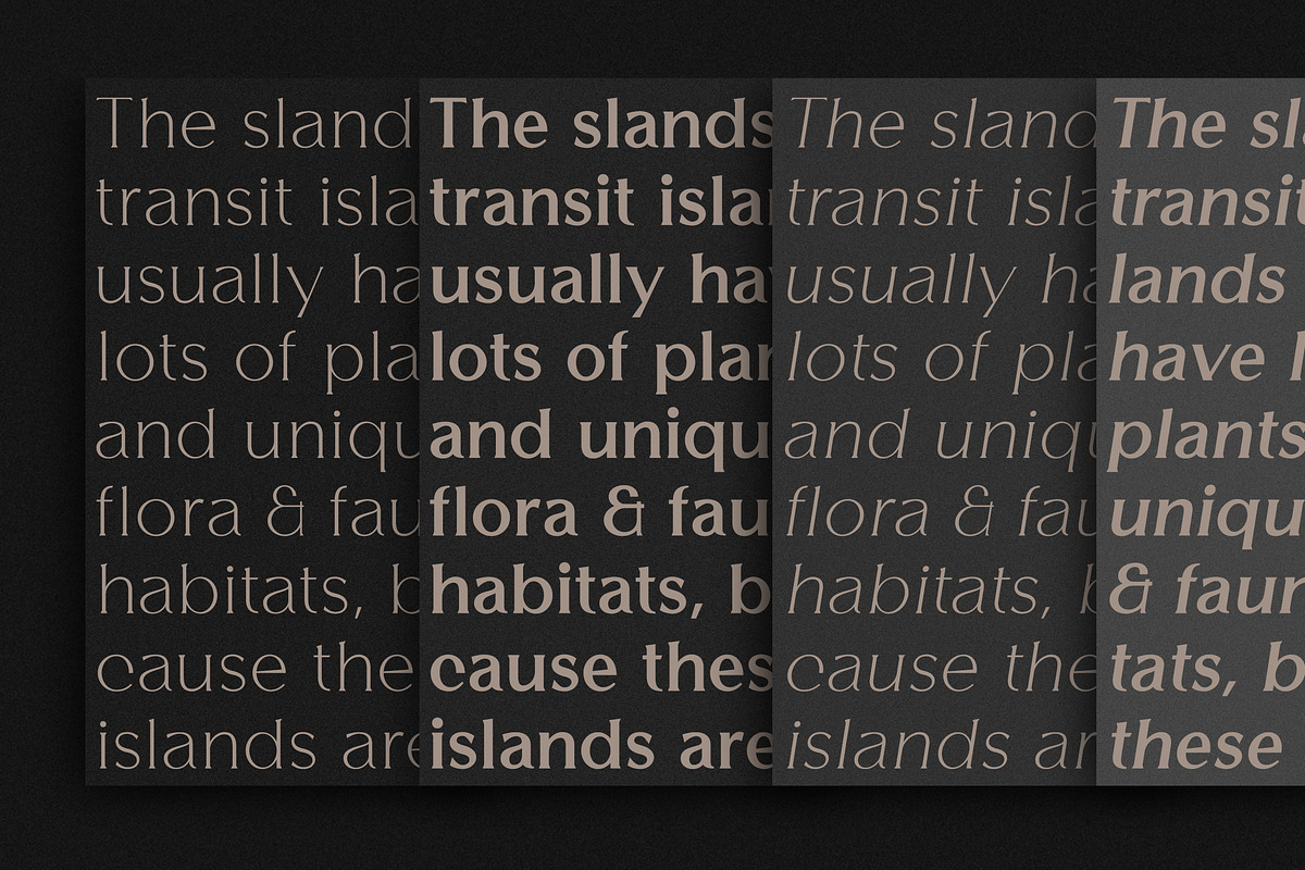 Gritlen, a Serif Font by OWL KING (Photo 3 of 8)