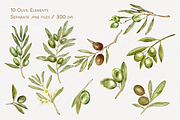 Olive Whispers Watercolor Collection, a Decorative Illustration by Aurella Art (Thumbnail 2 of 15)