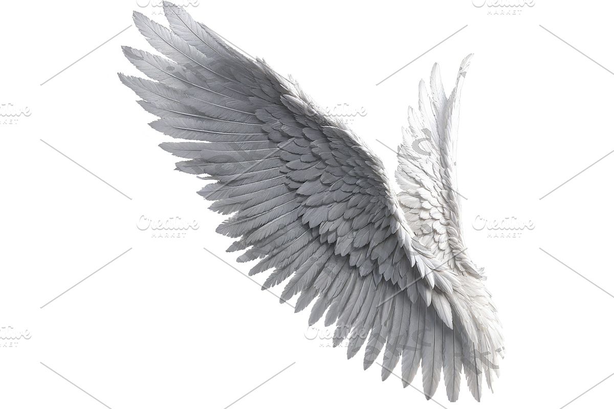 set of photorealistic angel wings, an Object Graphic by itakdalee (Photo 8 of 11)