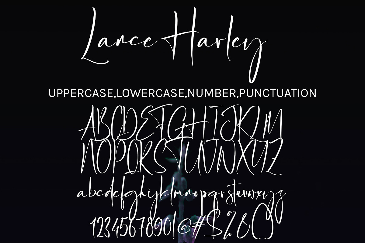 Lance Harley, a Handwritten Font by HaKi Studio (Photo 5 of 5)