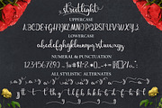 streetlight script, a Script Font by MrLetters (Thumbnail 9 of 10)