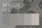 Paper Textures: Nature, a Background Photo by The Design Toolkit (Thumbnail 3 of 4)