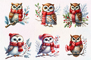 Christmas Owl Clipart PNG, an Illustration by Dream Creation (Thumbnail 5 of 7)