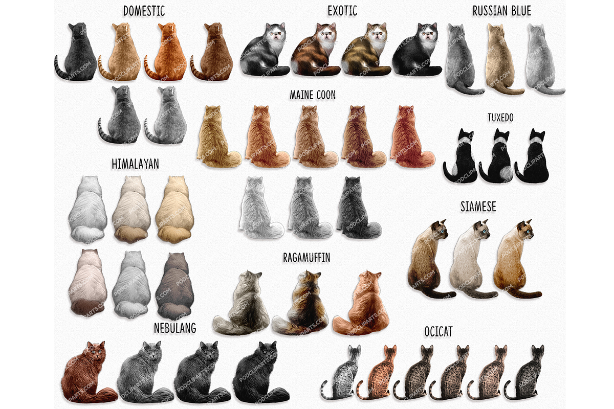 Cat Mom, Watercolor Cats Clipart PNG, a Person Illustration by Podcliparts (Photo 3 of 6)