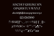Nostalgia Modern Serif Font, a Serif Font by Storytype Studio (Thumbnail 14 of 17)