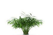 Flowerpot, an Environmental 3D Model by AndrewWhite (Thumbnail 3 of 5)