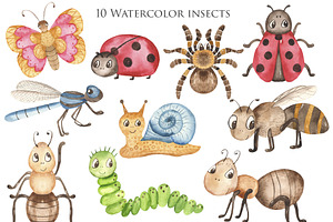 Insect Life. Watercolor Collection.