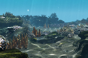 Underwater Coral Reef Habitat Ocean