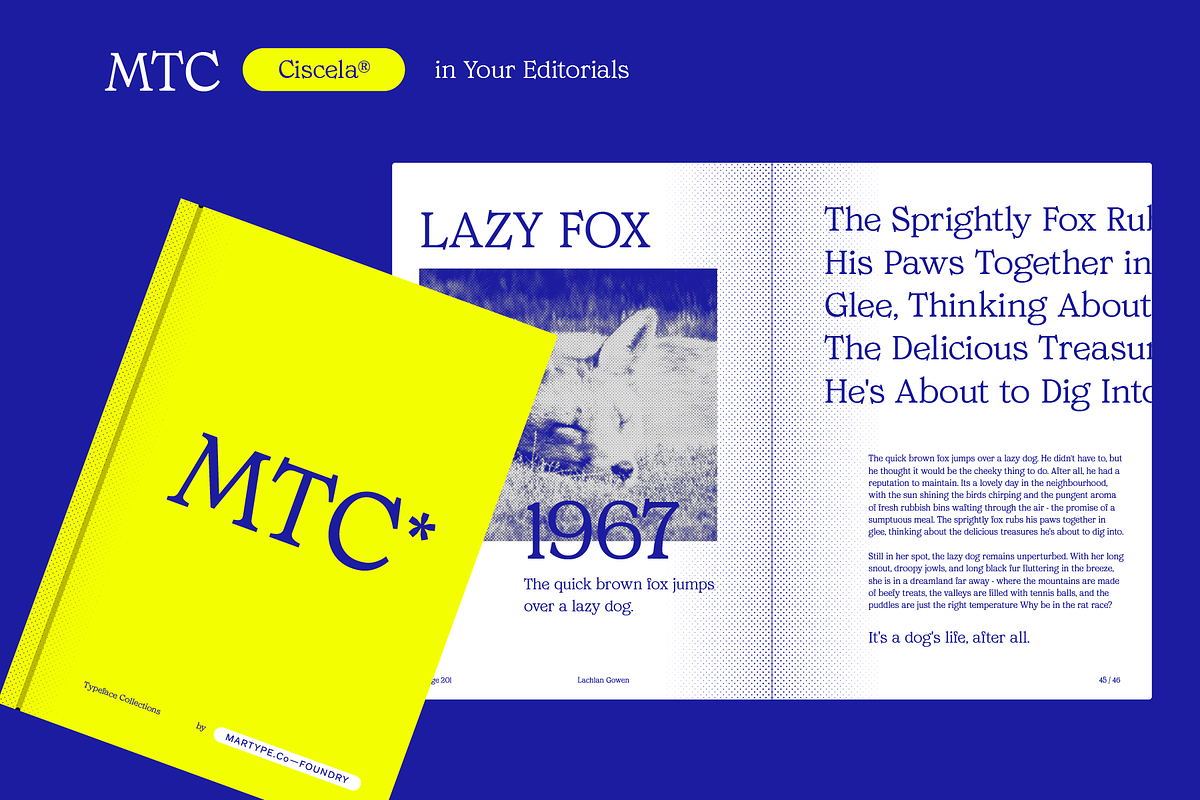 MTC Ciscela - Unique Serif Display, a Serif Font by Martype Co (Photo 4 of 9)