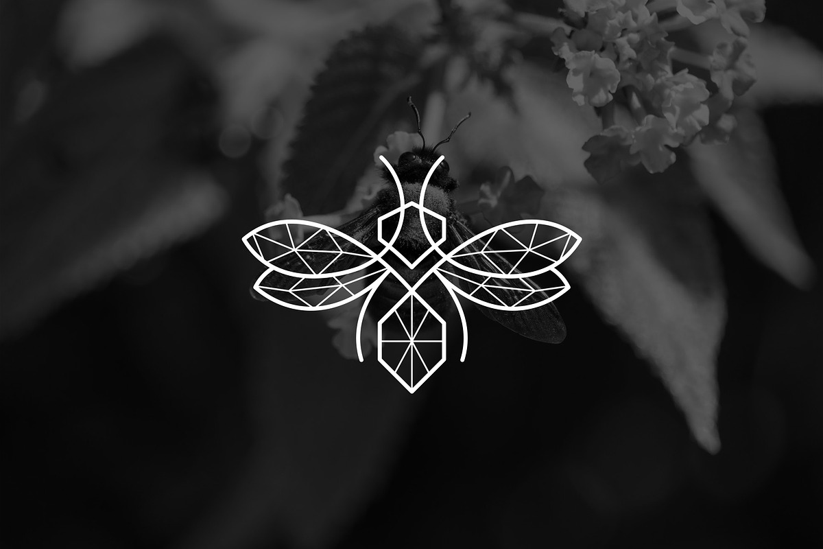 Geometric Luxury Bee Logo, a Branding & Logo Template by Luxury Logos (Photo 2 of 4)
