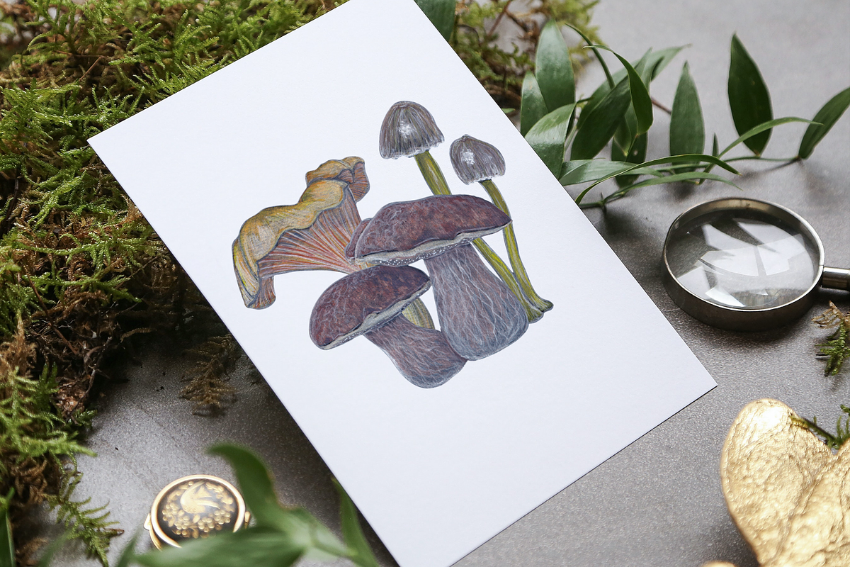 Watercolor and Gouache Mushrooms, an Illustration by MariaOrtegaDigitals (Photo 6 of 6)