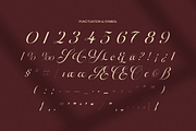 Amoura - Elegant Luxury Script Font, a Script Font by Sensatype (Thumbnail 11 of 13)