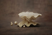 Newborn digital background stock photograph, a Person Photo by Susa's pics (Thumbnail 2 of 2)