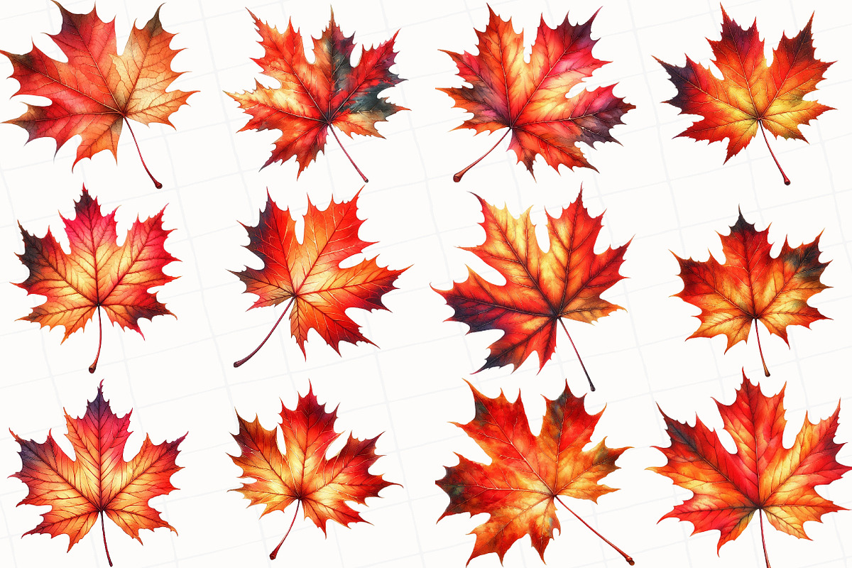 Watercolor Autumn Leaf Clipart, an Illustration by OK Design (Photo 2 of 5)
