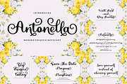 All Type Collection Font Bundle, a Script Font by Bosstype Studio (Thumbnail 16 of 45)