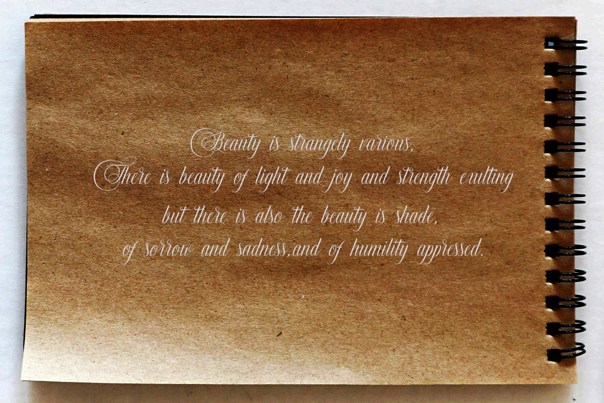 Murchison Script, a Script Font by Stripes Studio (Photo 7 of 9)