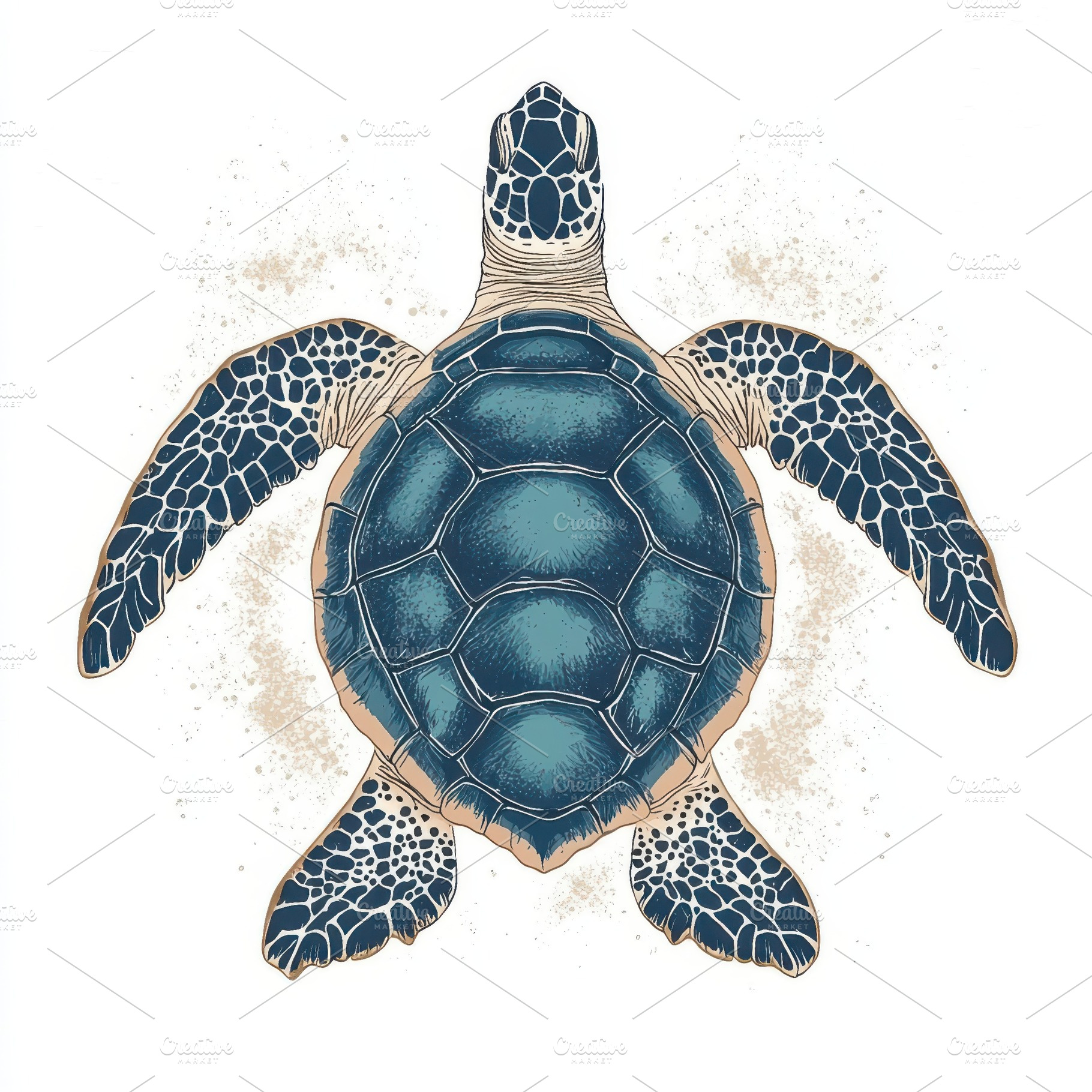 Sea Turtle Top View Ocean Animal She, an Animal Photo by Pixeness Studio