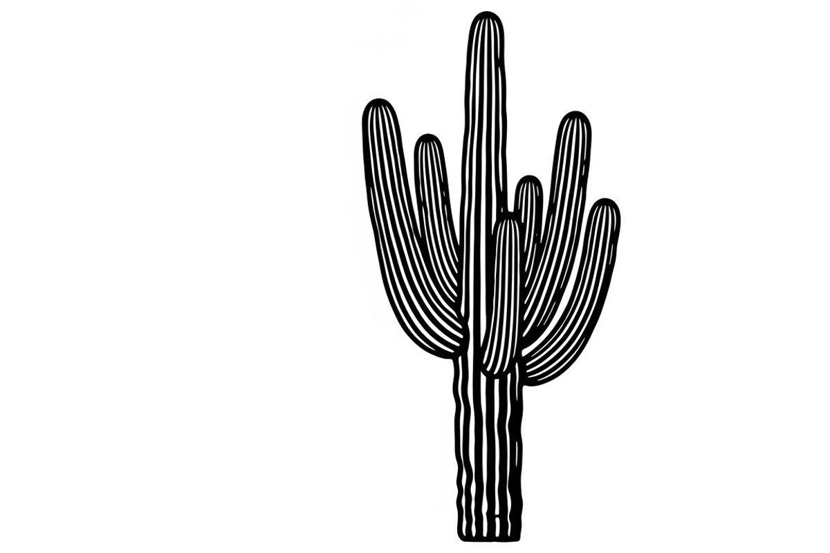 collection desert cactus silhouettes, an Illustration by Amazin_art (Photo 12 of 33)