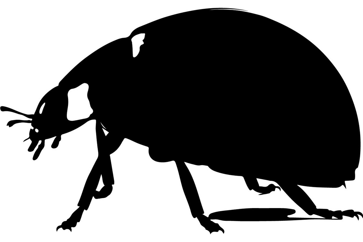 20 Ladybug Silhouette Mega, an Object Graphic by Designer_Momina (Photo 17 of 20)