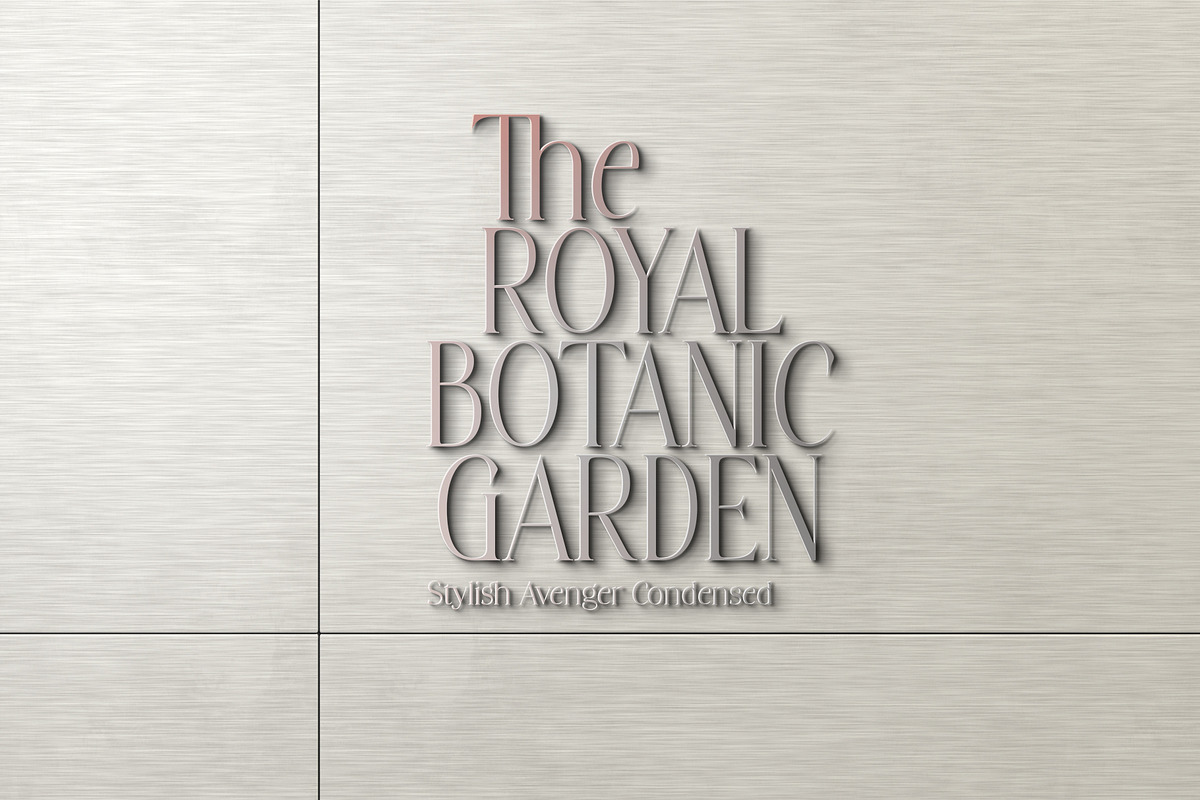 Stylish Avengers Serif Family, a Serif Font by moriztype (Photo 4 of 13)
