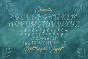 Belinday - Monoline Script Font, a Script Font by StringLabs (Thumbnail 10 of 11)