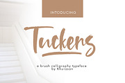 Tuckers Brush Font, a Script Font by khurasan (Thumbnail 1 of 7)