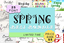 Spring Best Bundle