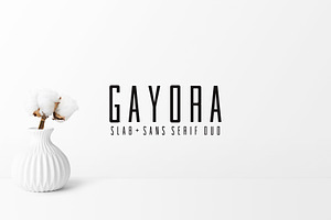 Gayora Slab Serif Duo Font