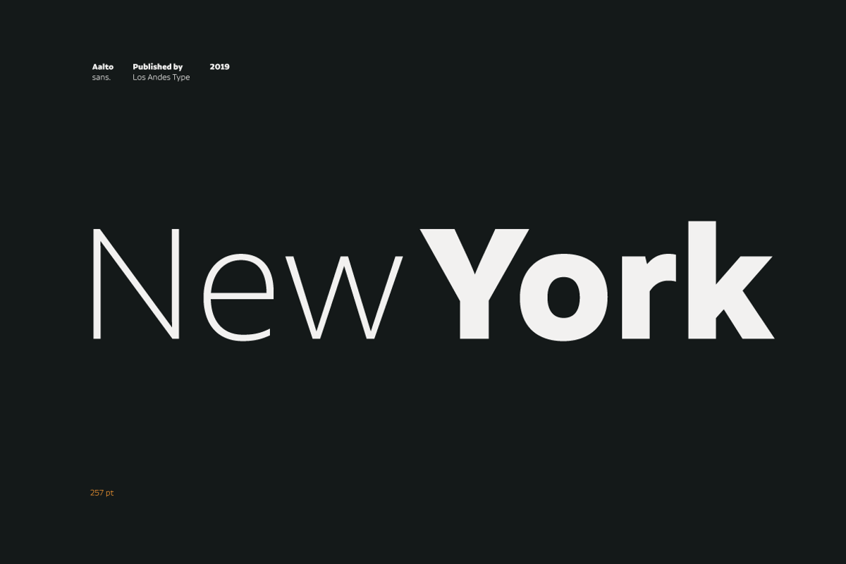 Aalto Sans, a Sans Serif Font by Los Andes Type (Photo 17 of 19)