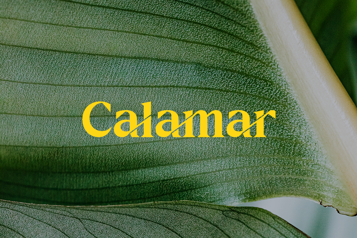 Raphen Madam - Classic Elegant Serif, a Serif Font by Pandeka Studio (Photo 5 of 12)